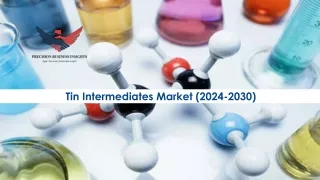 tin intermediates market 2024 2030