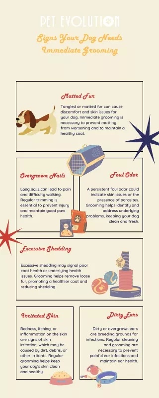Signs Your Dog Needs Immediate Grooming