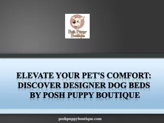 Elevate Your Pet's Comfort Discover Designer Dog Beds by Posh Puppy Boutique