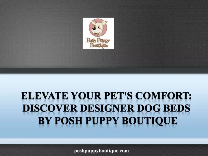 elevate your pet s comfort discover designer