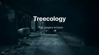 Our Services at treecology