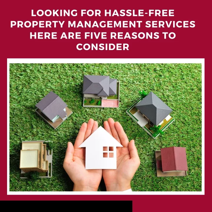 looking for hassle free property management