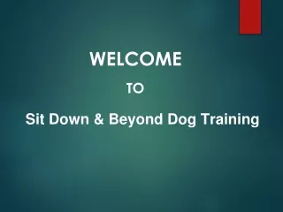 Best Puppy Training in Sumner