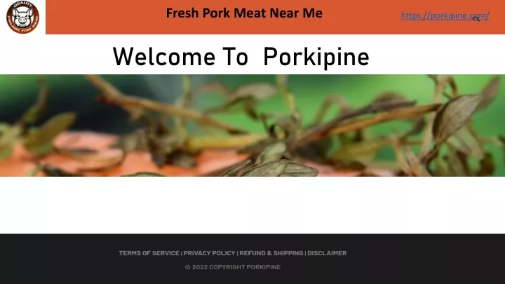 fresh pork meat near me