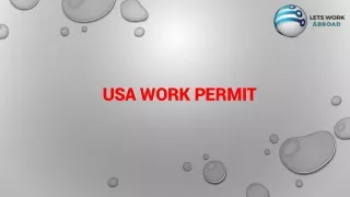 usa work permit