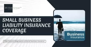 Small Business Liability Insurance Coverage Protecting Your Dreams with BR Risk Group Specialty Insurance. Visit Us Now!