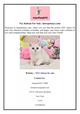 Nyc Kittens For Sale  Interpetsnyc.com