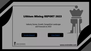 Lithium Mining Market PPT