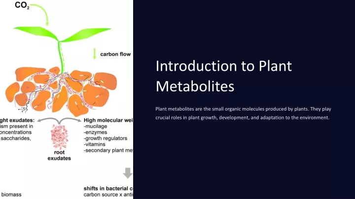 introduction to plant metabolites