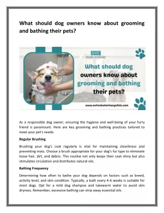 What should dog owners know about grooming and bathing their pets?
