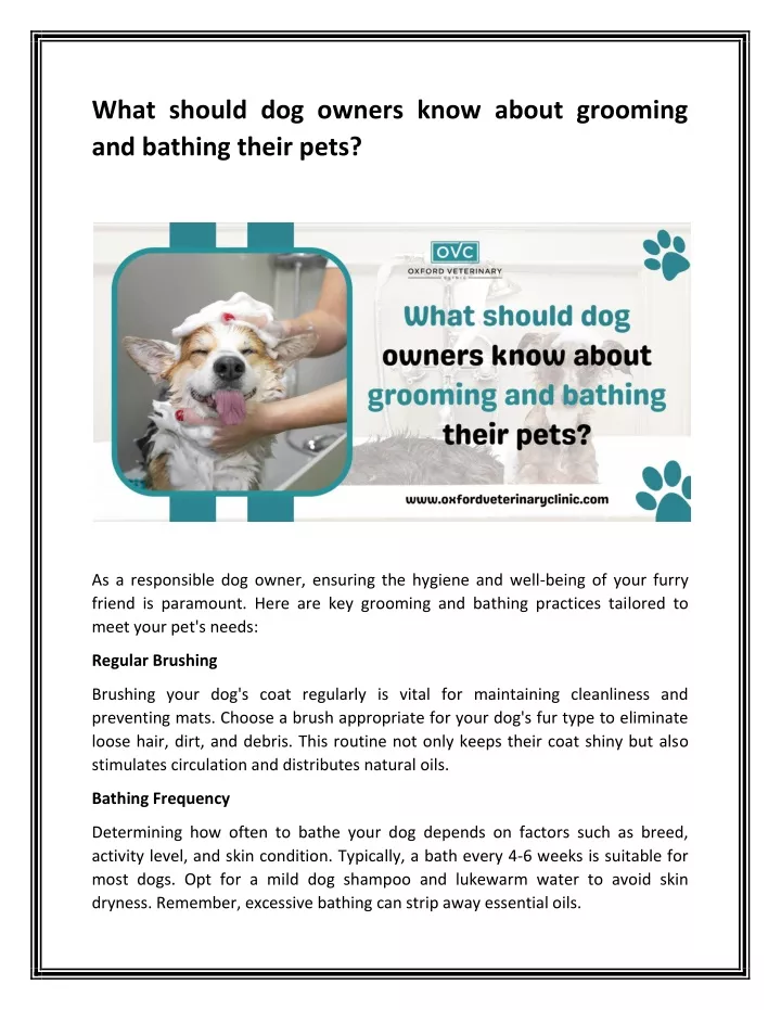 what should dog owners know about grooming