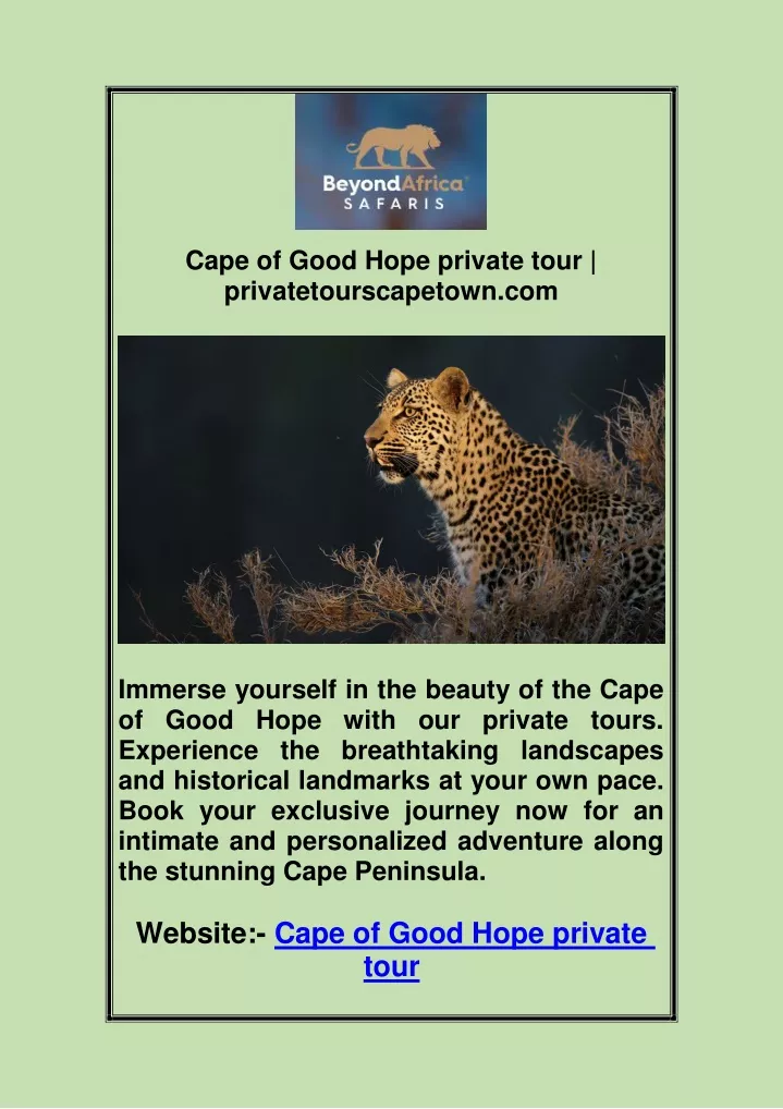 cape of good hope private tour