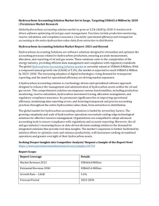 hydrocarbons accounting solution market