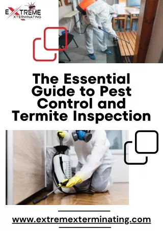 The Essential Guide to Pest Control and Termite Inspection