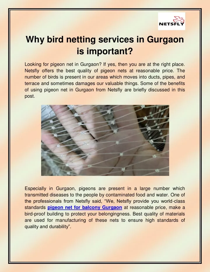 why bird netting services in gurgaon is important