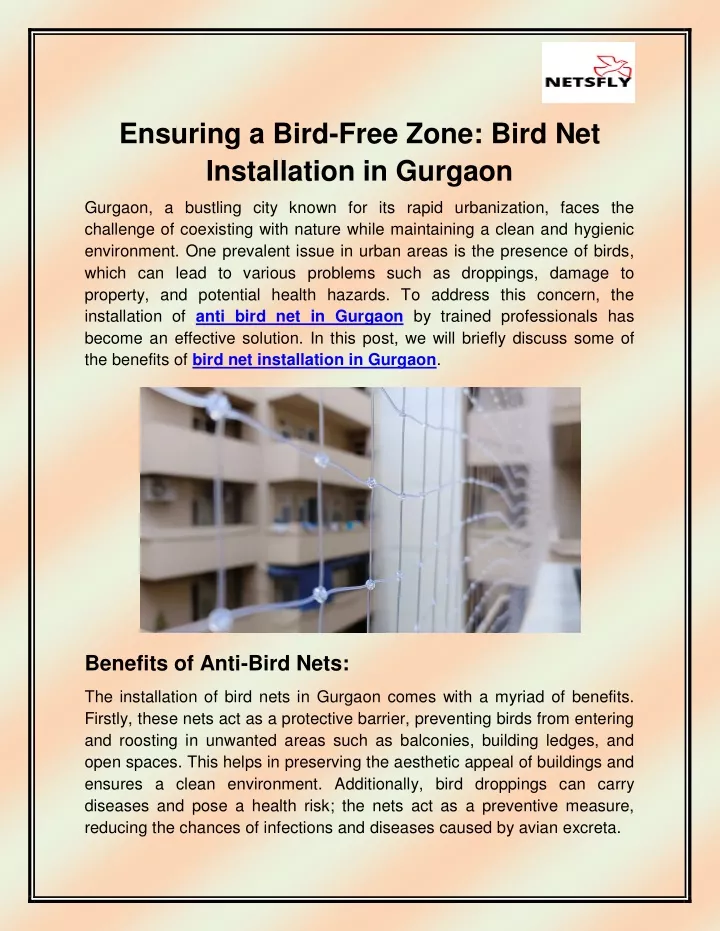 ensuring a bird free zone bird net installation