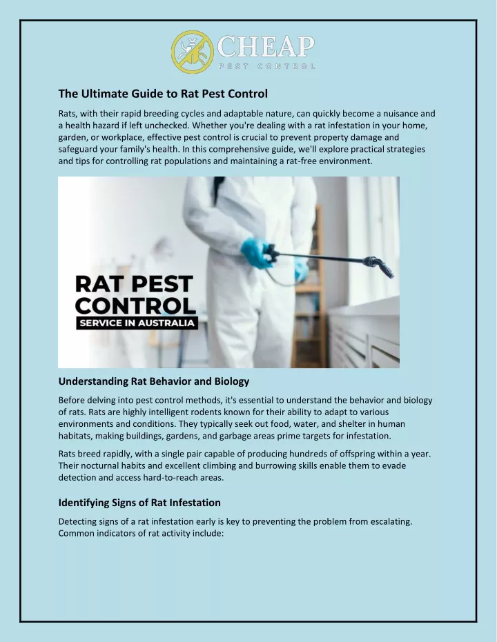 the ultimate guide to rat pest control