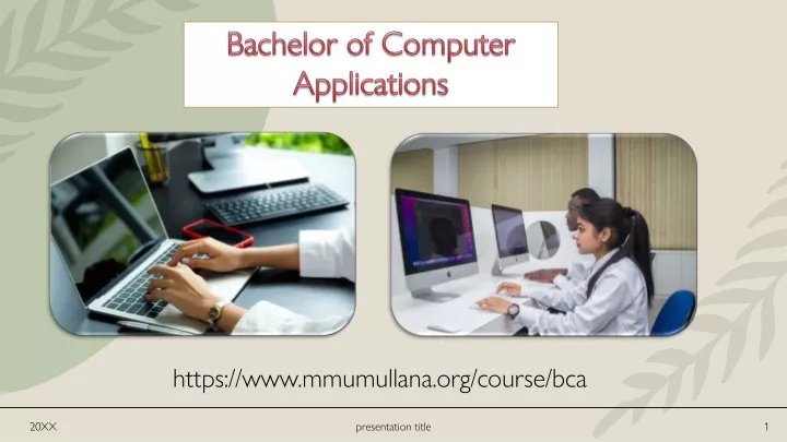 bachelor of computer applications