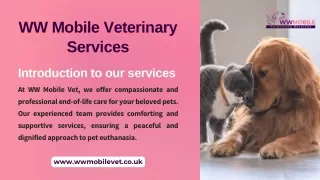 Introduction to our services | WW Mobile Veterinary Services