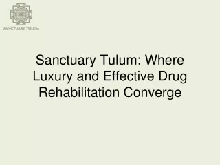 Sanctuary Tulum Where Luxury and Effective Drug Rehabilitation Converge