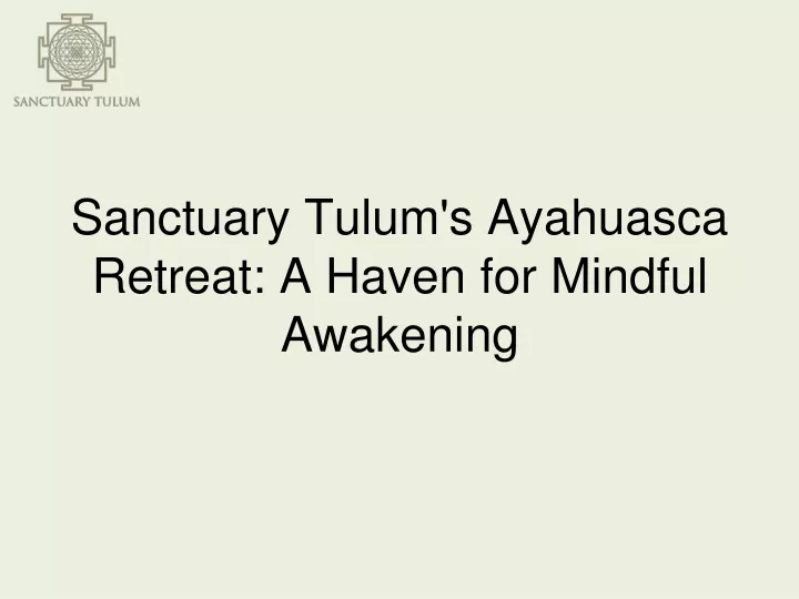 sanctuary tulum s ayahuasca retreat a haven