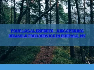 Your Local Experts - Discovering Reliable Tree Service in Buffalo, NY