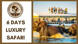 6 Days Luxury Safari