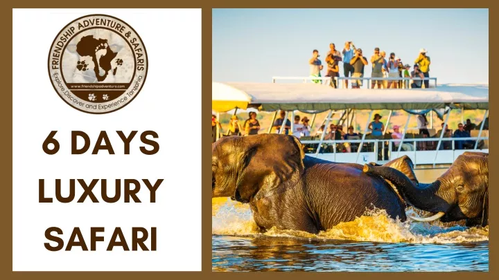 6 days luxury safari