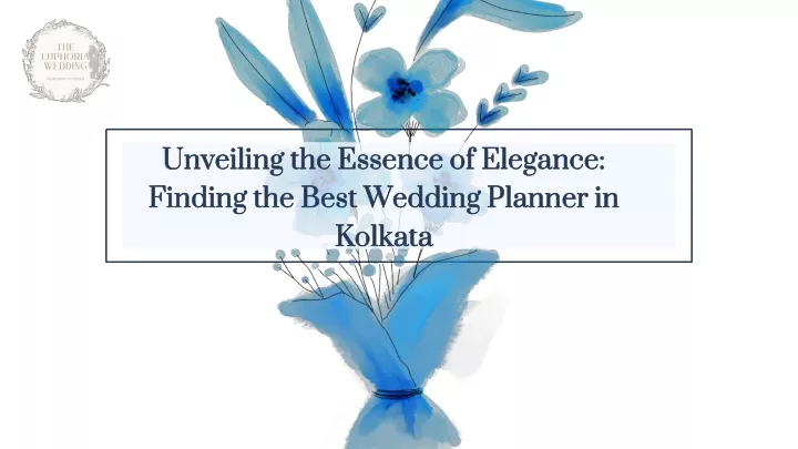 unveiling the essence of elegance finding