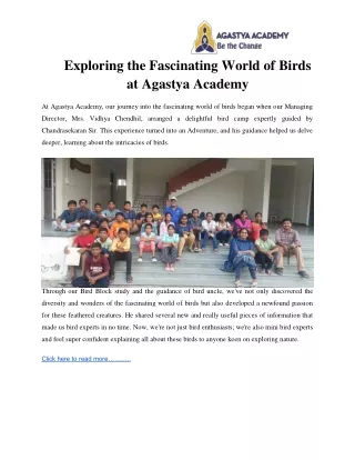exploring the fascinating world of birds