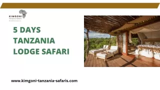 5 Days Tanzania Lodge Safari