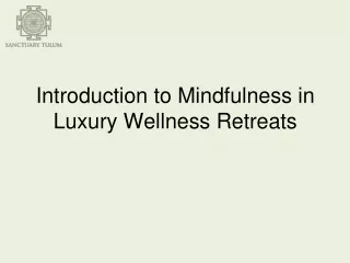 Introduction to Mindfulness in Luxury Wellness Retreats
