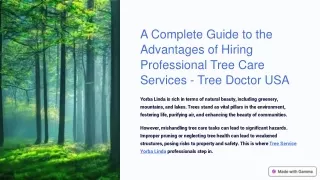 Complete Guide to the Advantages of Hiring Professional Tree Care Services - Tree Doctor USA