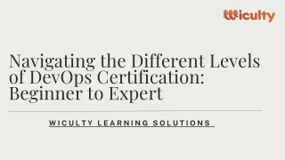 navigating the different levels of devops