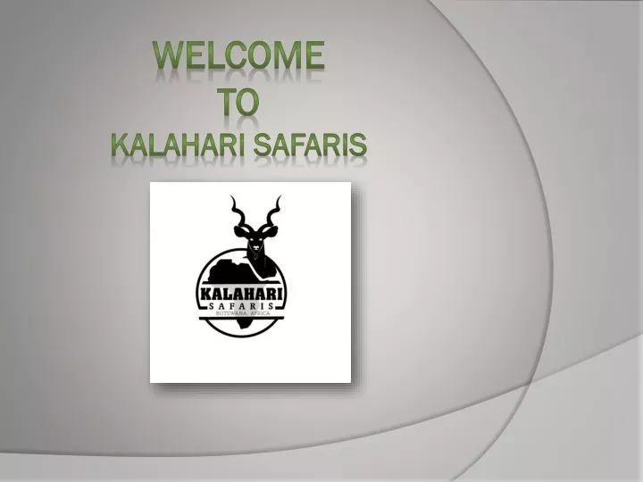 welcome to kalahari safaris