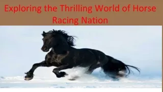 Exploring the Thrilling World of Horse Racing Nation
