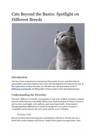 Cats Beyond the Basics_ Spotlight on Different Breeds