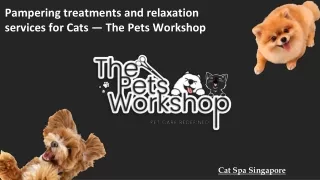 Pampering treatments and relaxation services for Cats — The Pets Workshop