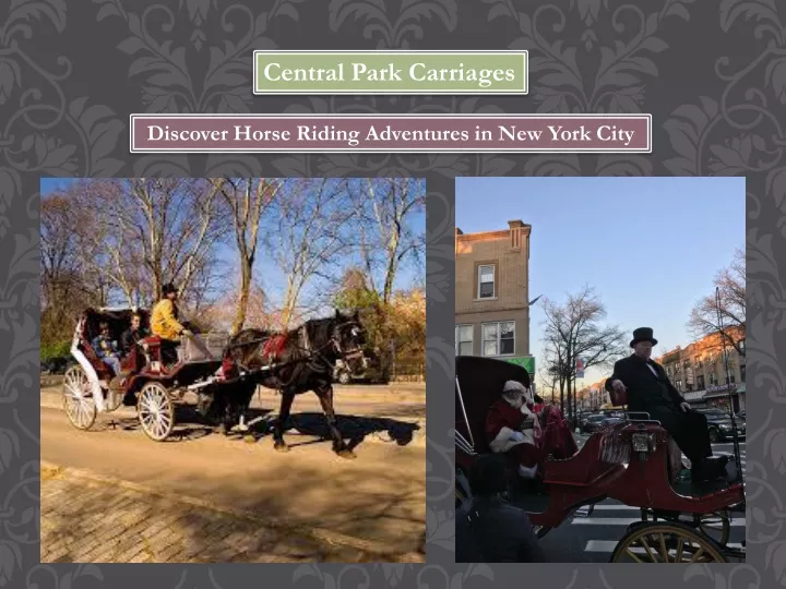 central park carriages
