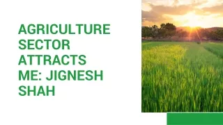 Agriculture sector attracts me Jignesh Shah