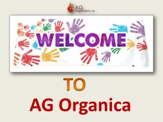 AG Organica Lavender Oil Manufacturer & Wholesale Supplier