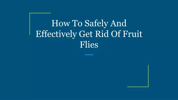 how to safely and effectively get rid of fruit flies