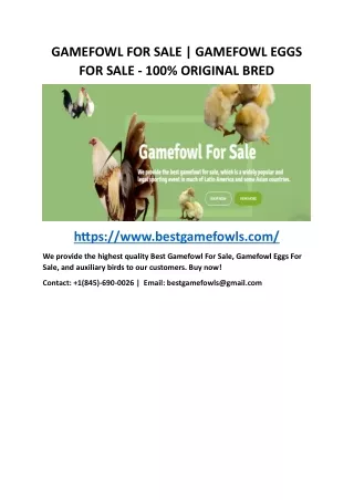 GAMEFOWL FOR SALE | GAMEFOWL EGGS FOR SALE - 100% ORIGINAL BRED