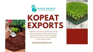 Coir Dust | Kopeat Exports