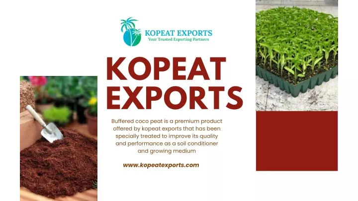 kopeat exports buffered coco peat is a premium
