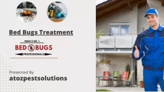 Bad Bugs Control Services