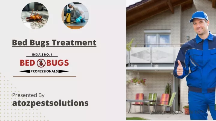 bed bugs treatment