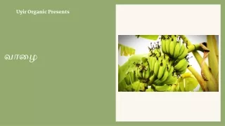 uyir organic presents