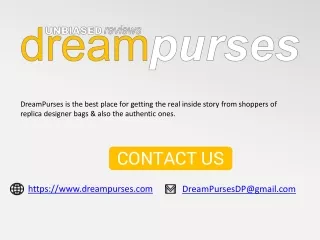 Dream Purses - Exquisite Chanel Affordable Bags Indulge in Luxury Without Compro