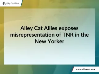 Alley Cat Allies exposes misrepresentation of TNR in the New Yorker